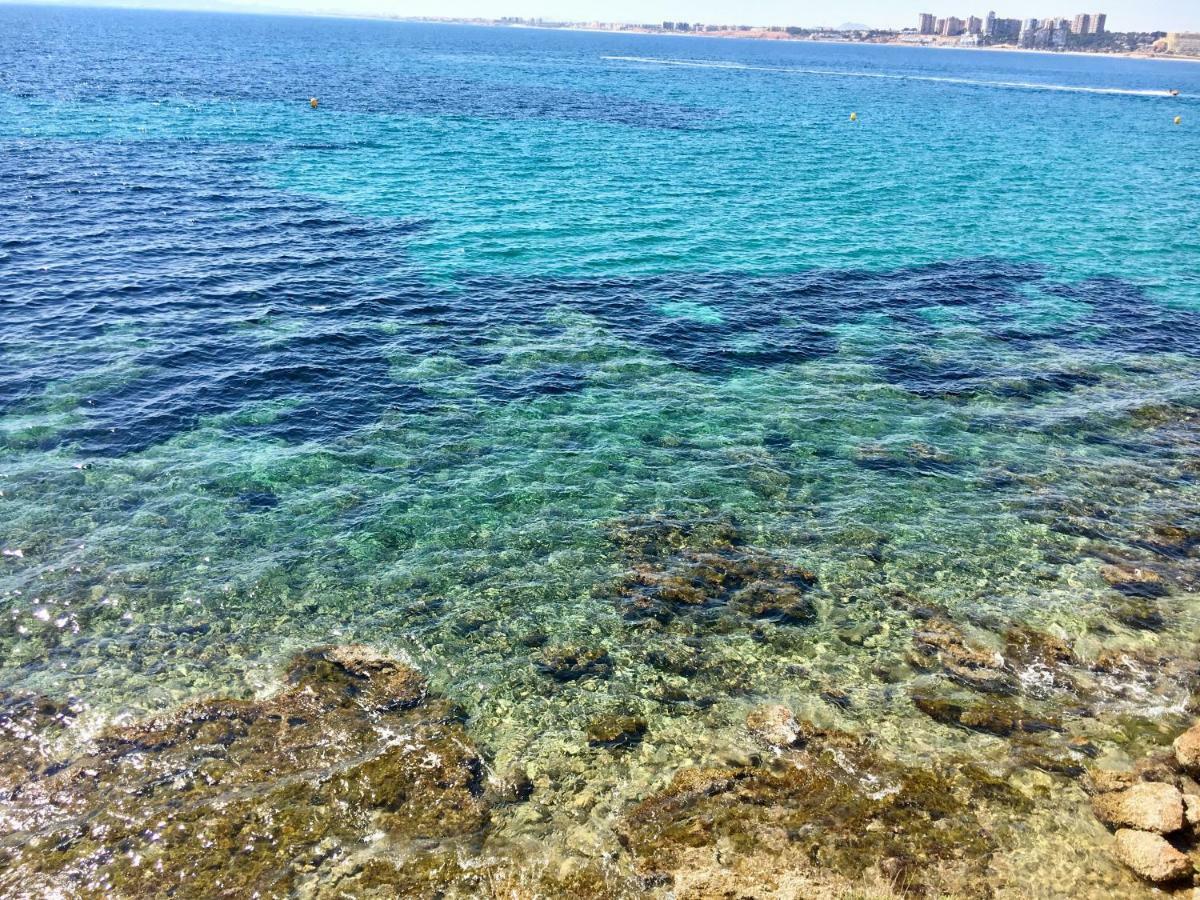 Oasis Beach X - 49 Appartement Guardamar del Segura Buitenkant foto